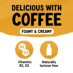 Alpro Barista Oat Vanilla Case of 8 (8 x 750ml)