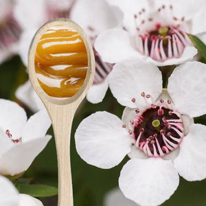 Down Under Manuka UMF 5+ MGO 83+ Honey of New Zealand - 500g