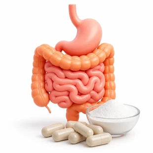 Digestive Enzymes