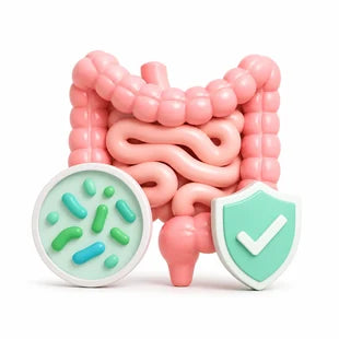 Gut Health