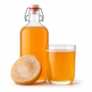 Kombucha