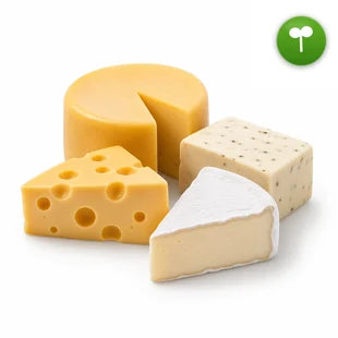 Vegan Cheese