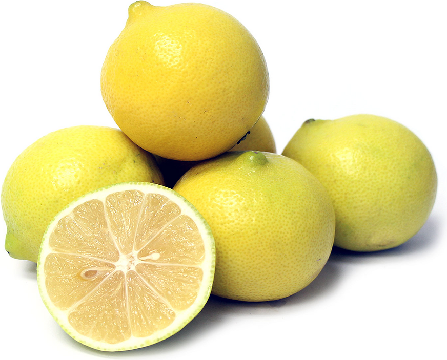 Sweet Lemon