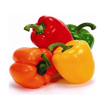 Capsicum Mix 500g