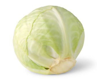 Cabbage White