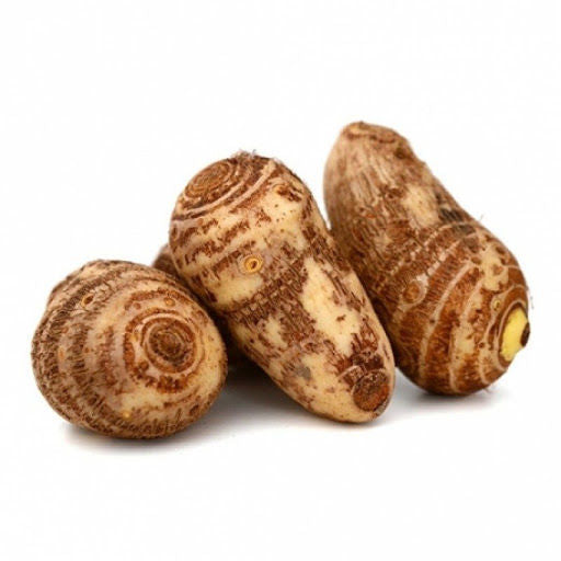 قلقاس (جذور القلقاس)