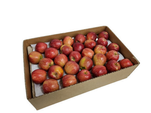 Apple Red Box