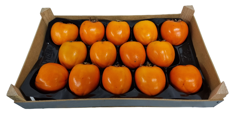 Persimmon Box Spain