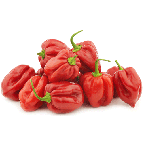 Chilli Habanero Red 100g