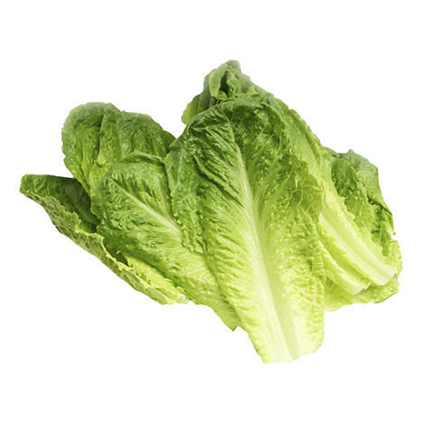 Freshly Cut  Romaine Lettuce 200g