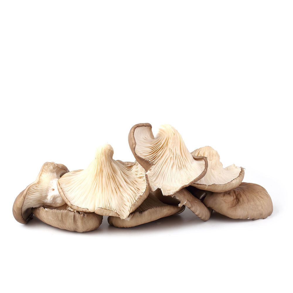 Oyster Mushrooms 250g