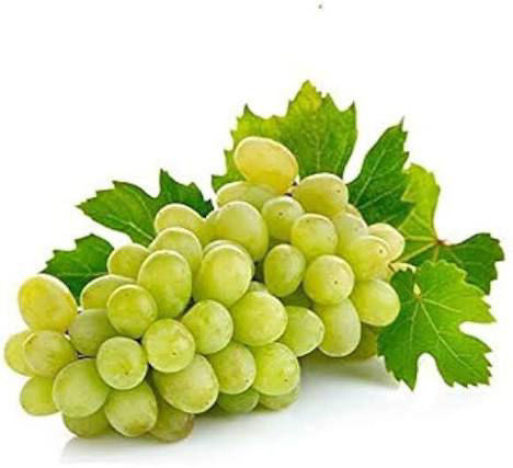 Grapes White Seedless Thompson