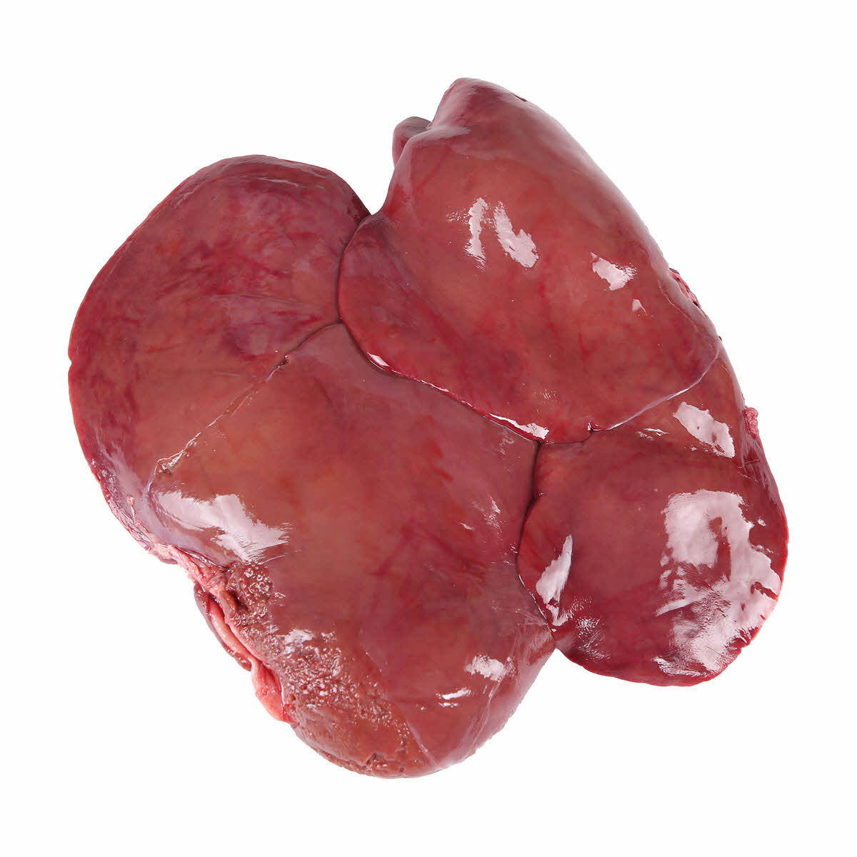 Fresh Lamb Liver
