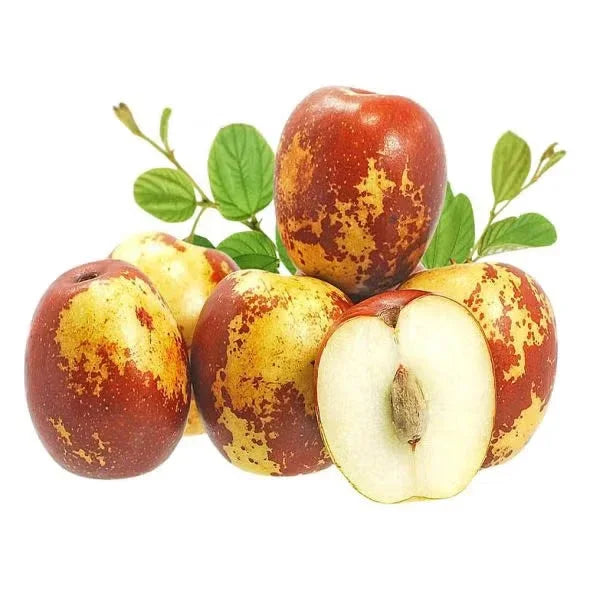 Lebanese Jujube Berry (Annab) 500g — عناب| Air-Flown