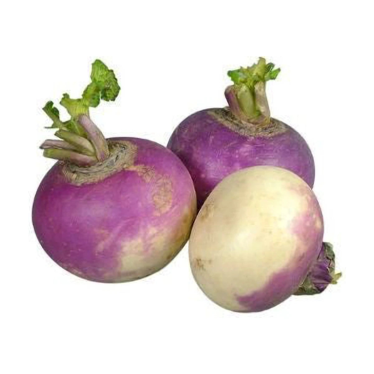 शलजम