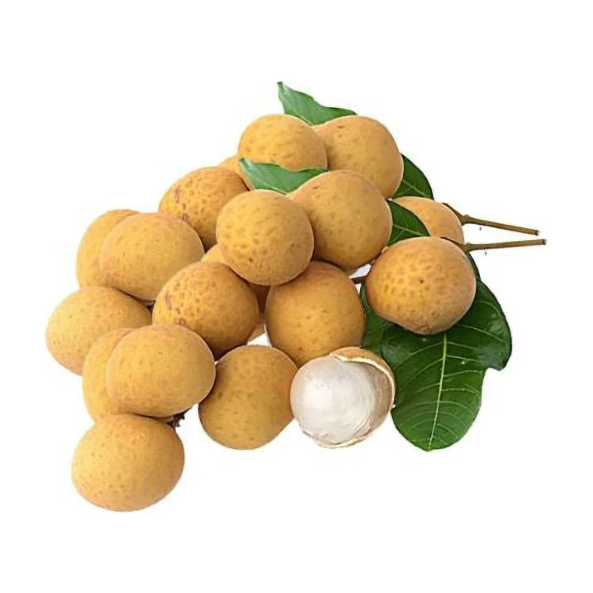 लॉन्गन