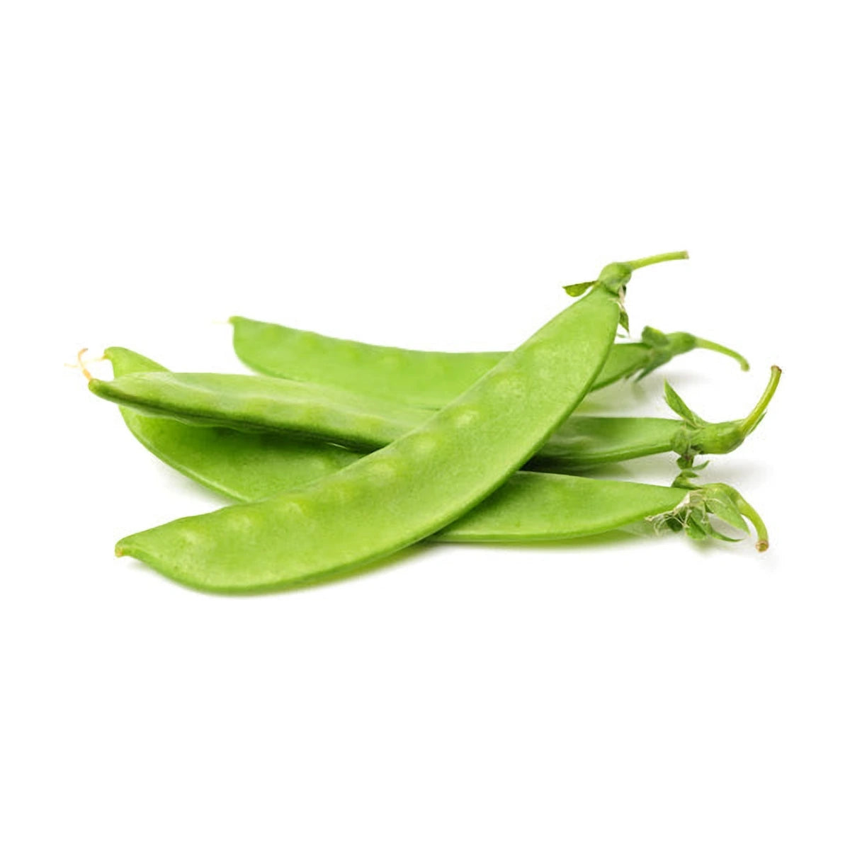 मटर की फली