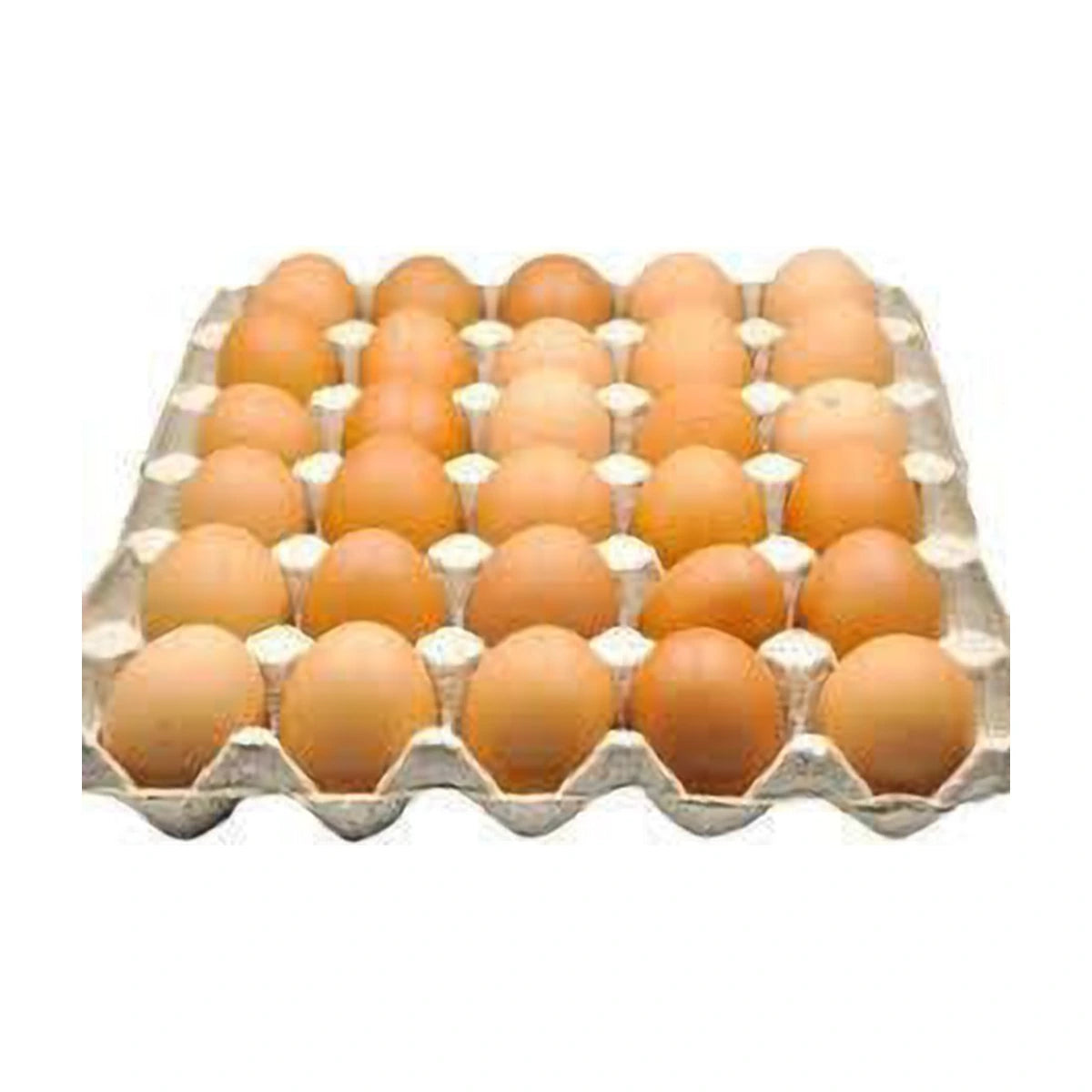 Malaysia Brown Eggs | Welaza