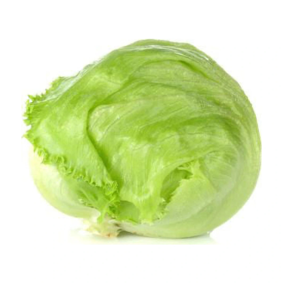 हिमखंड