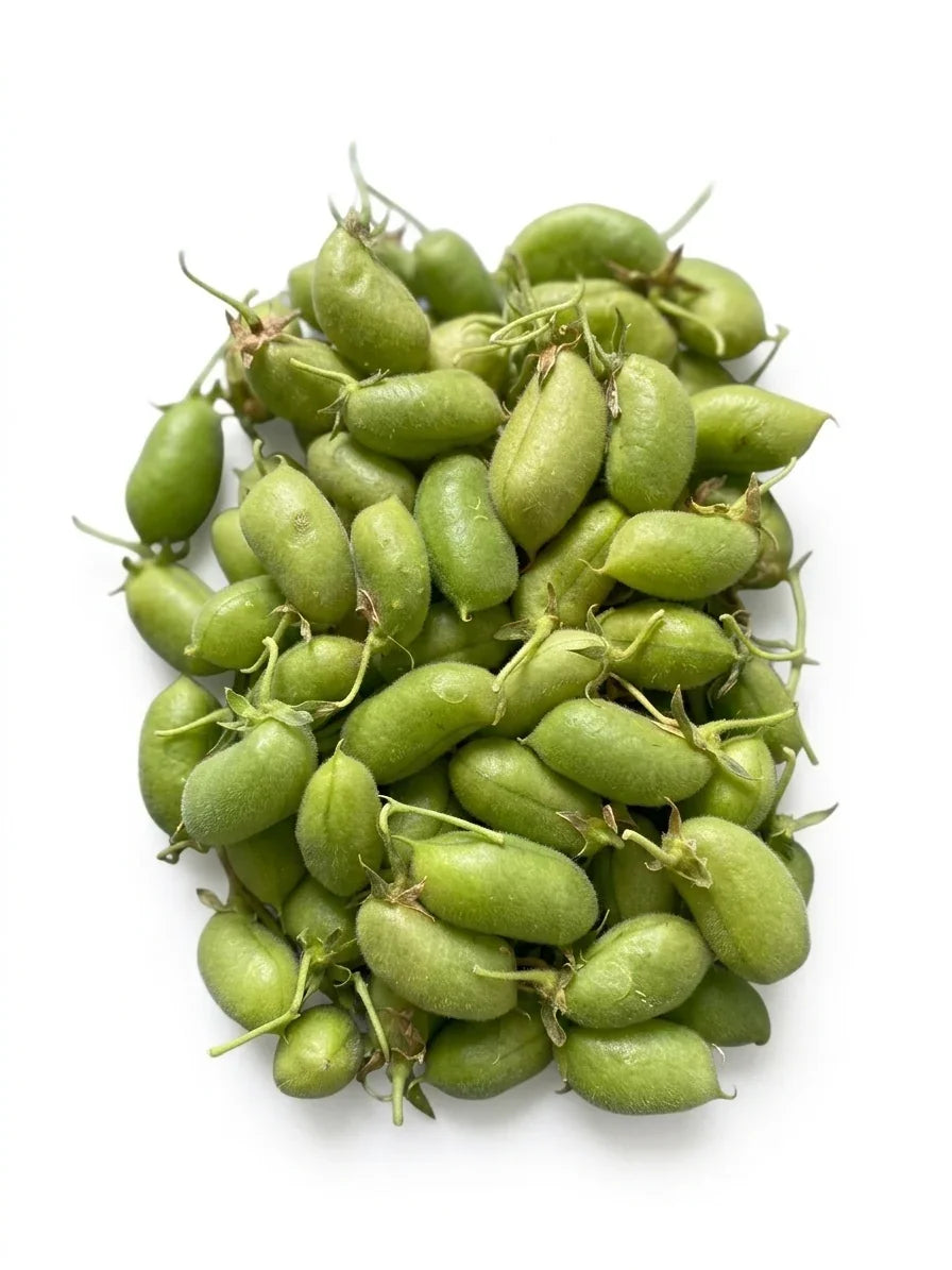 Lebanese Fresh Green Chickpeas (Umm Qleibani) 100g  — أم قليباني | Air-Flown