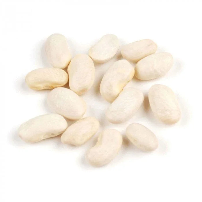 Lebanese Fresh Shelled White Beans 500g — فاصوليا بيضاء | Air-Flown