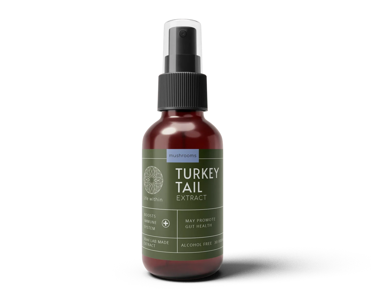 Turkey Tail Extract