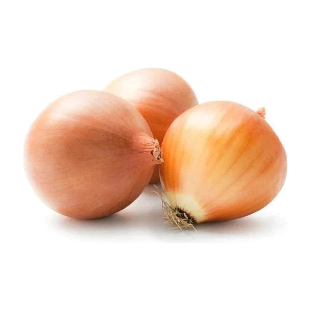 Organic Brown Onion | Welaza