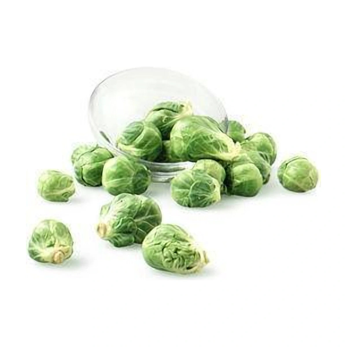 Brussel Sprout 500g | Welaza