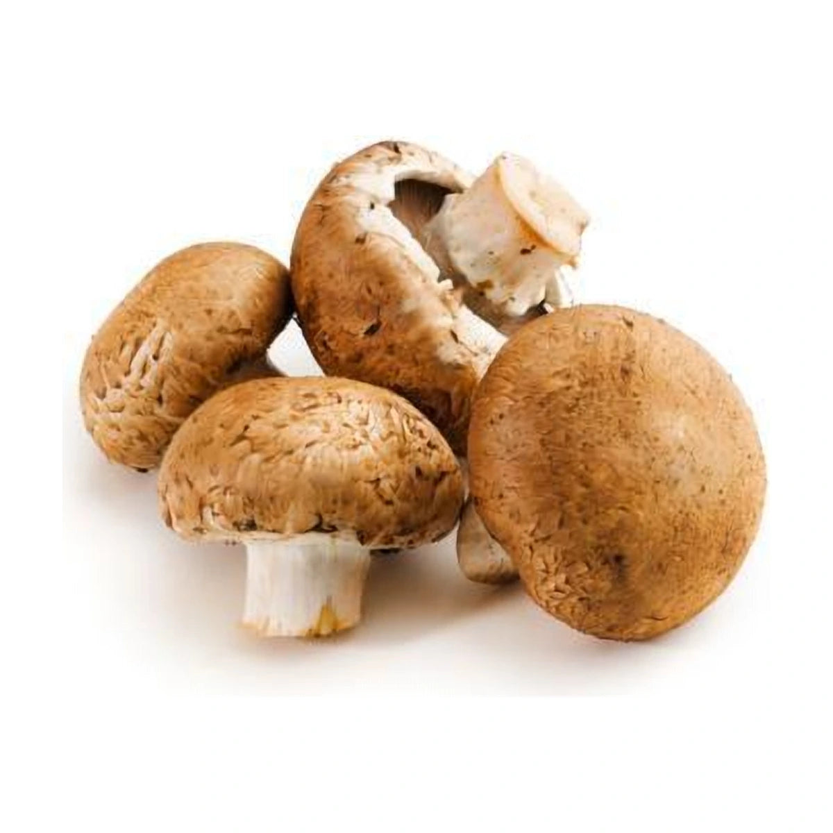 Brown Mushroom 250g | Welaza