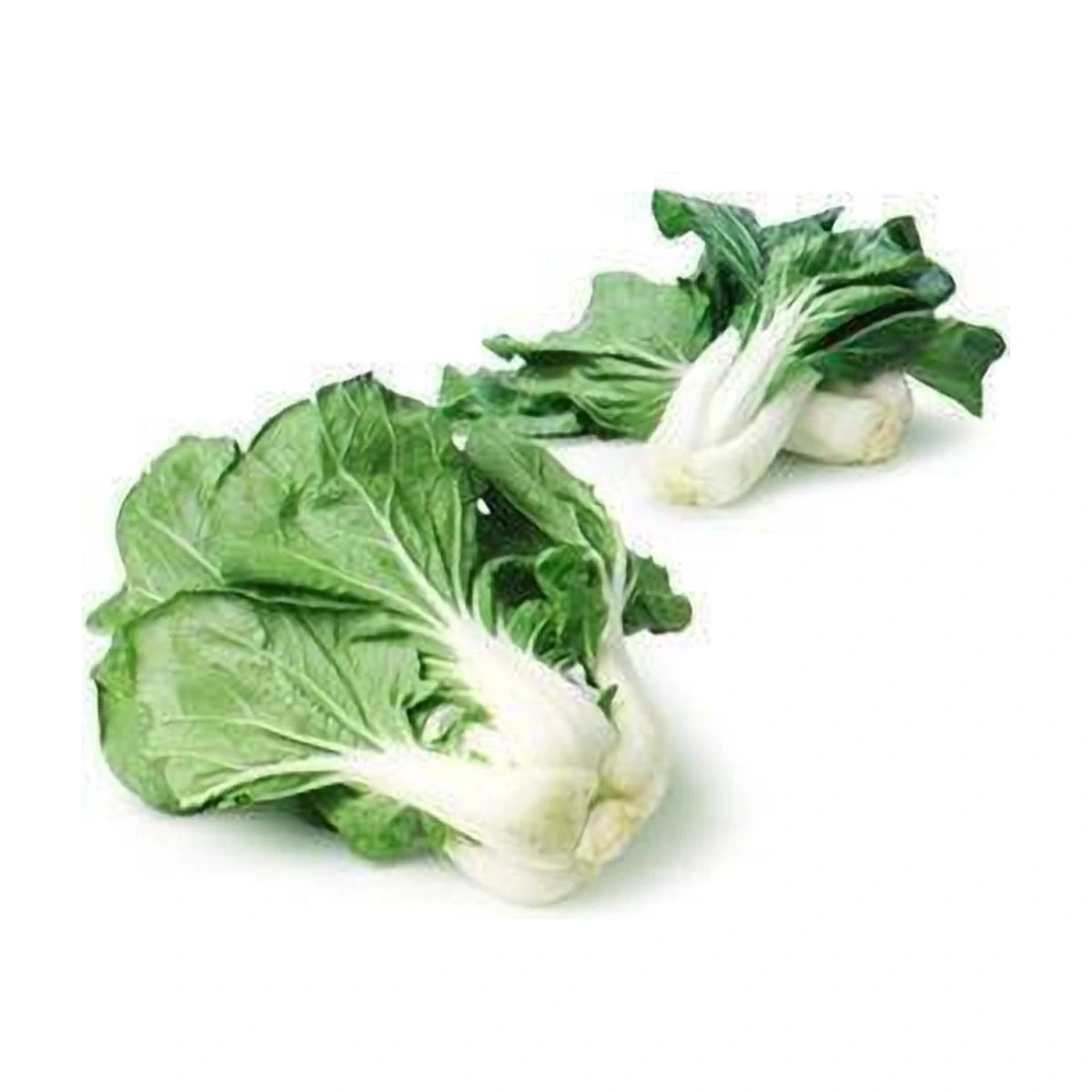 Bok Choy - 250gm | Welaza