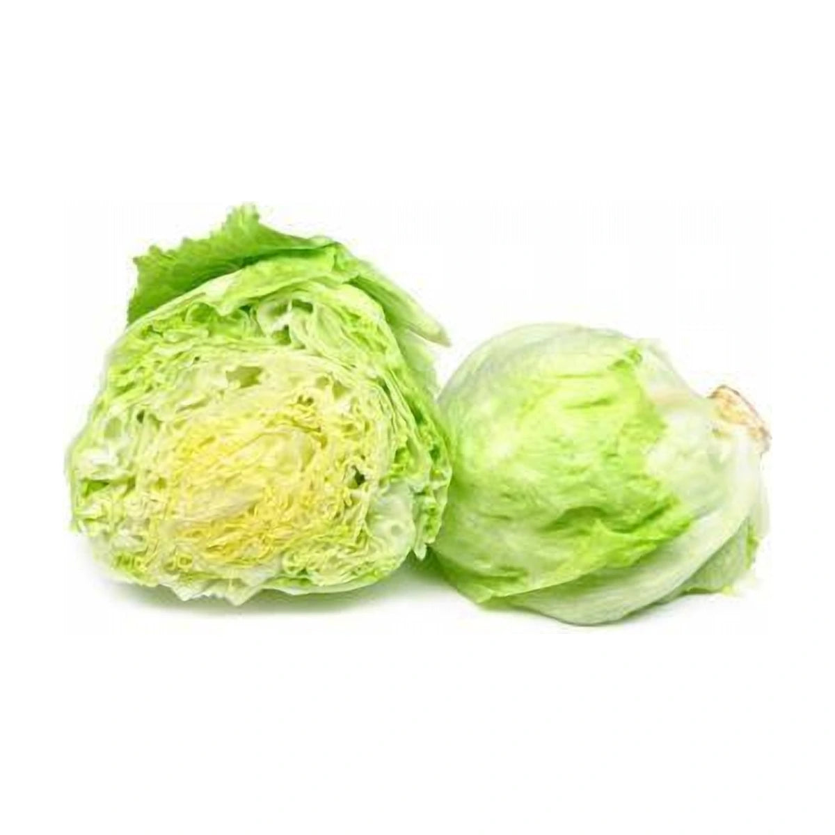 Iceberg Lettuce 400gm-500gm | Welaza