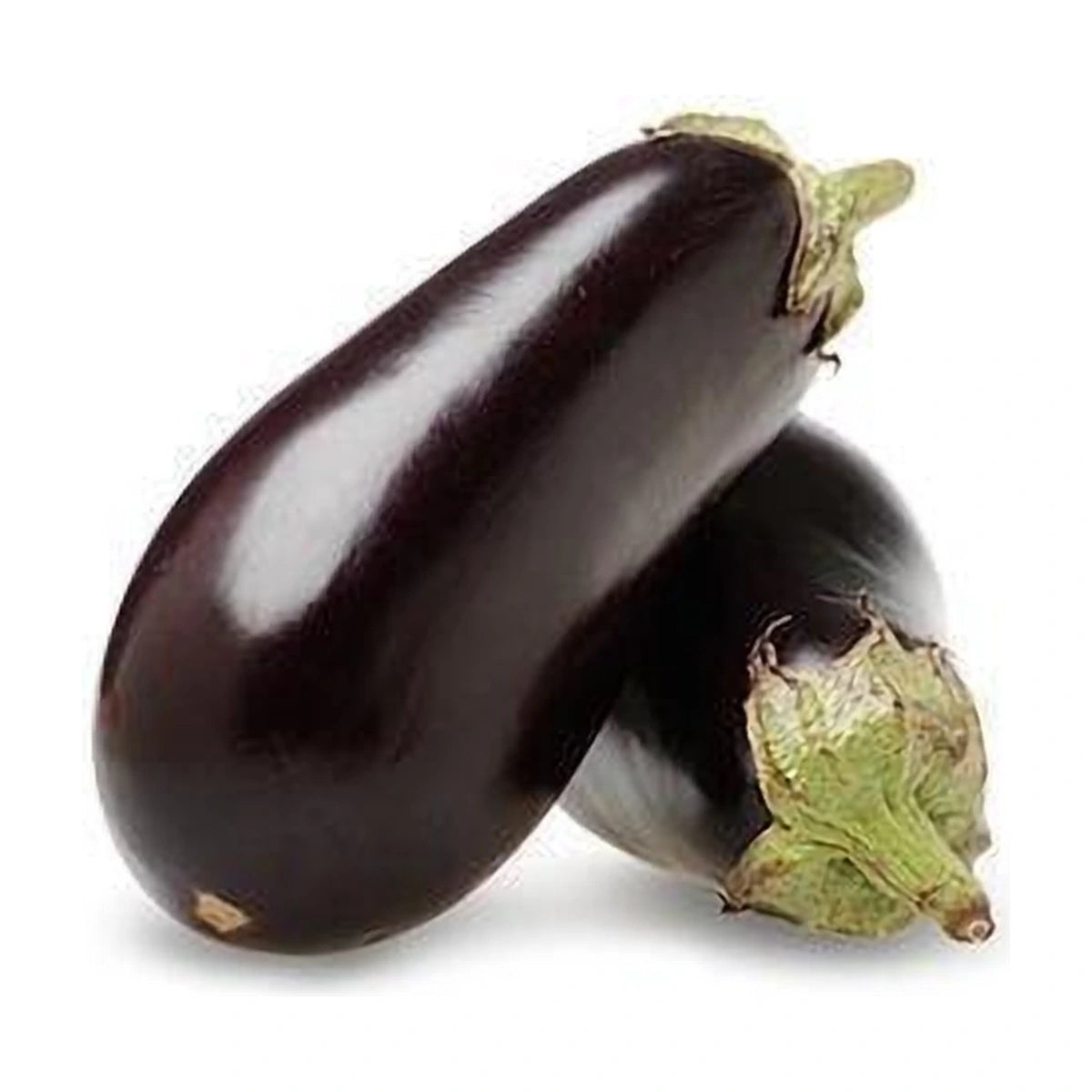Large Eggplant 400-500grm | Welaza