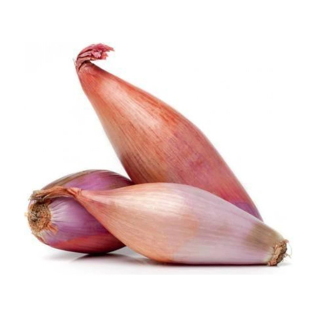Banana Shallots 500GRM | Welaza