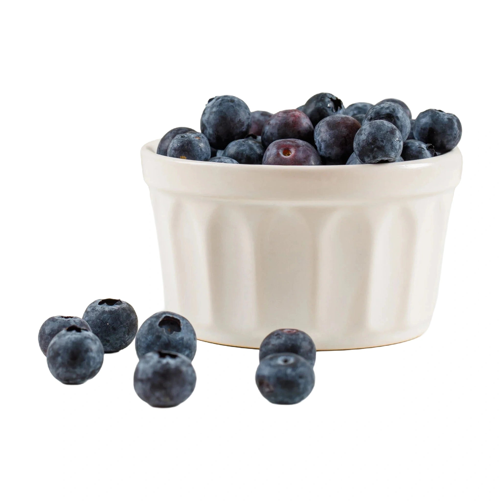 Frozen Blueberries IQF | Sidco Foods