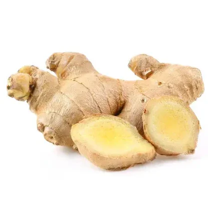 Ginger root with a slice on a white background