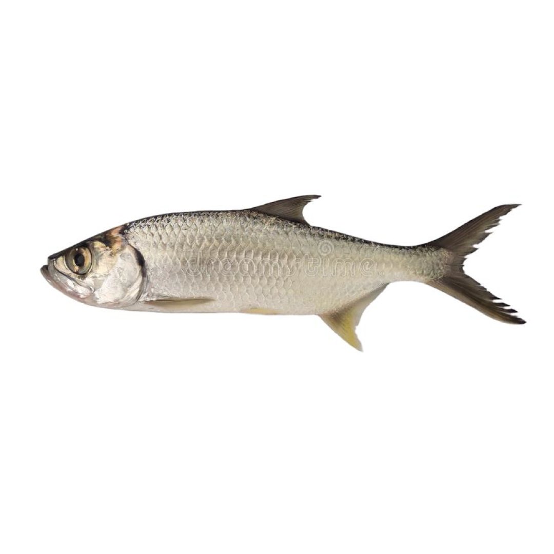 Silver Whiting /Hassom/Sea Fish - Whole cleaned 500g