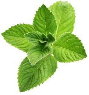 Mint Leaves 100g