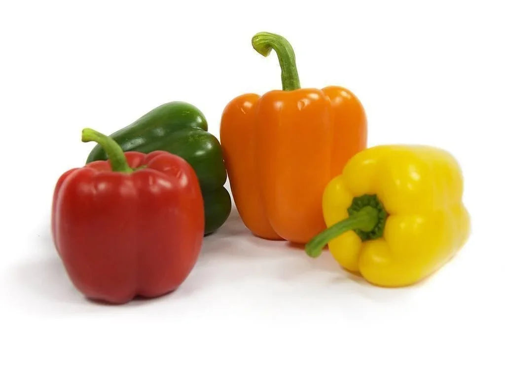 Capsicum Mix 500g