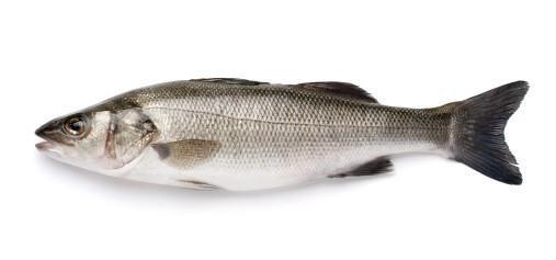 Sea Bass "Loup De Mer" Whole Cleaned