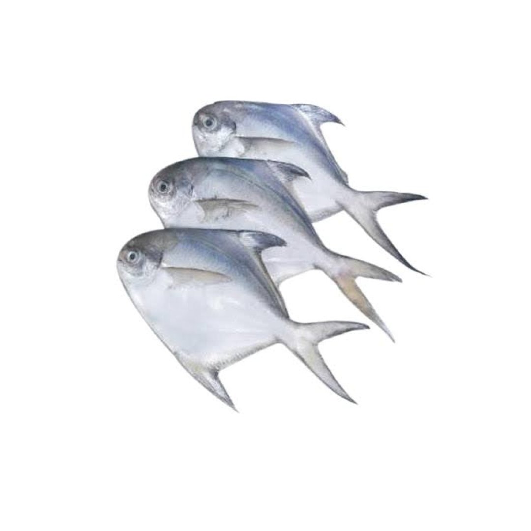 Silver Pomfret / Avoli / Zubaidi Medium Whole Cleaned 500g