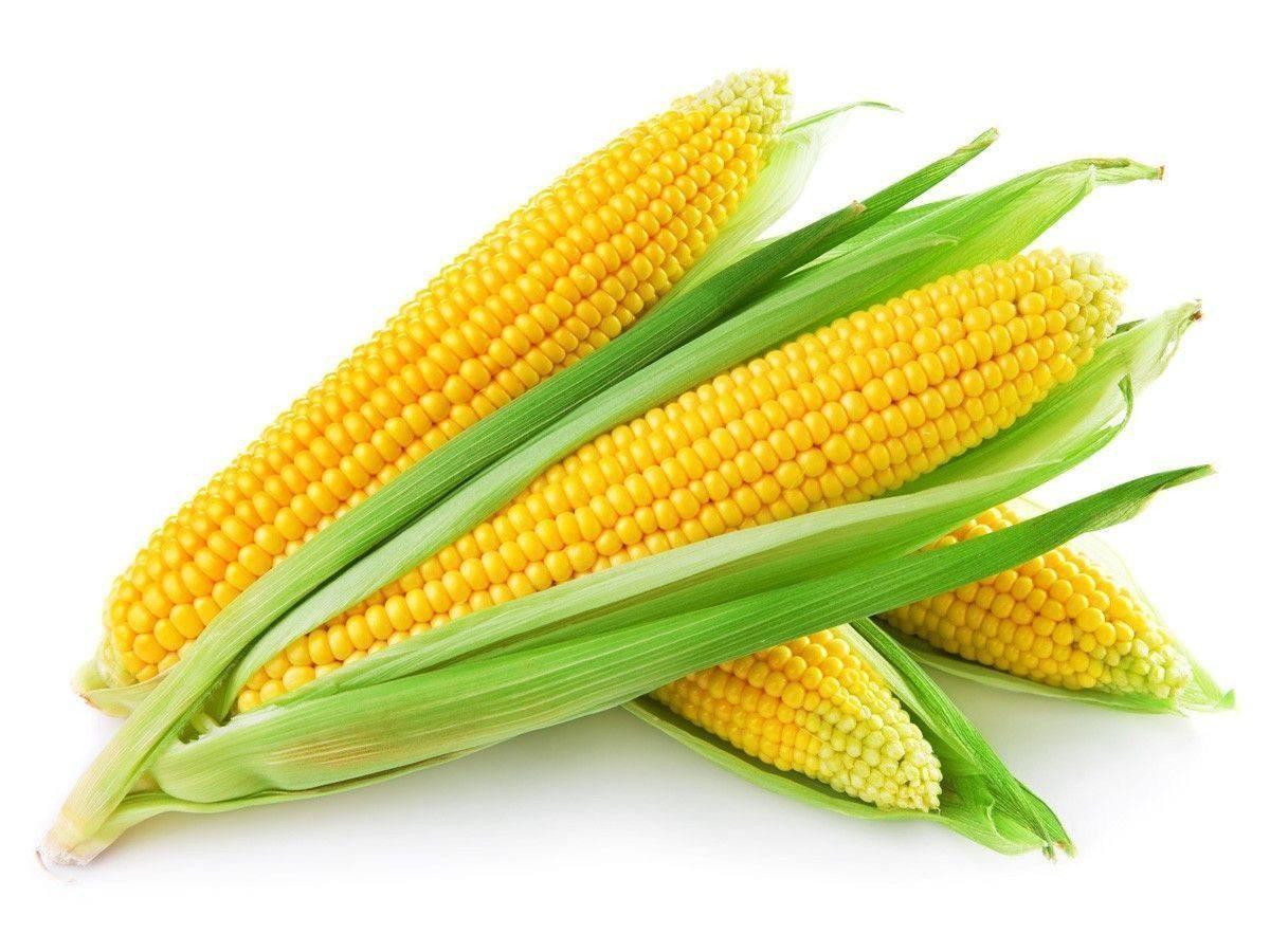 Sweet corn 600g