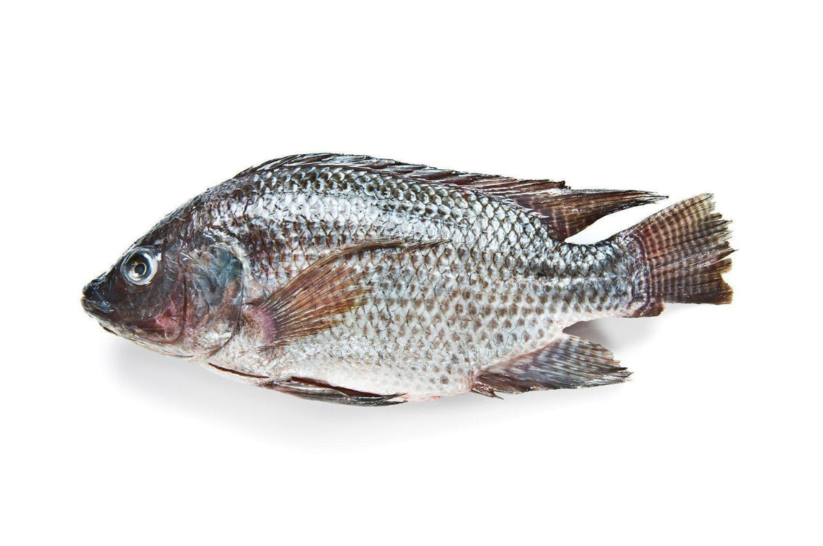Tilapia / Boulty - Whole cleaned 500g
