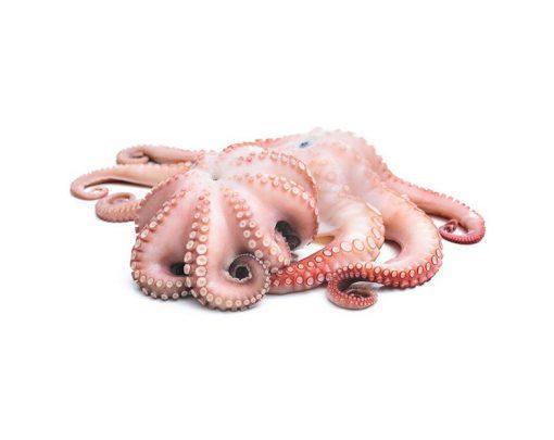 Whole Mini Octopus Cleaned 1Kg
